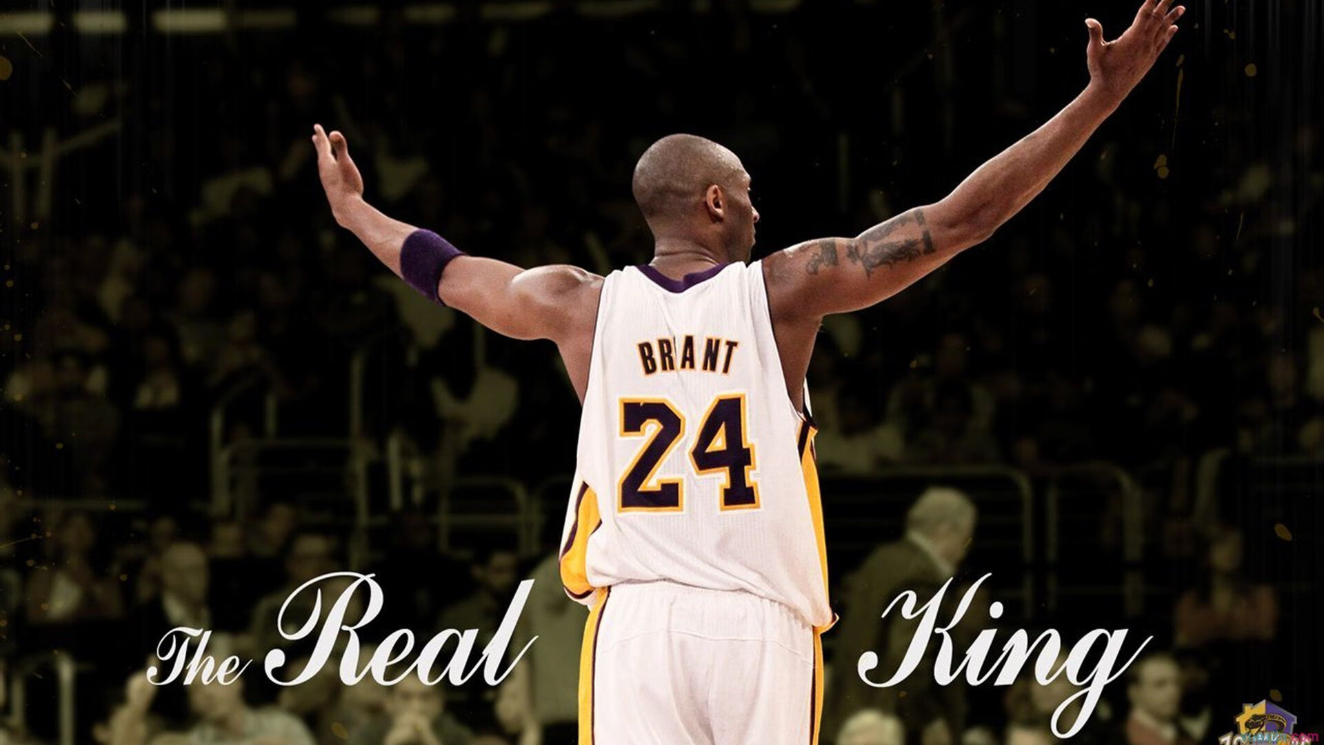 广东队拿下太阳，F1争冠背后的中国式团队哲学